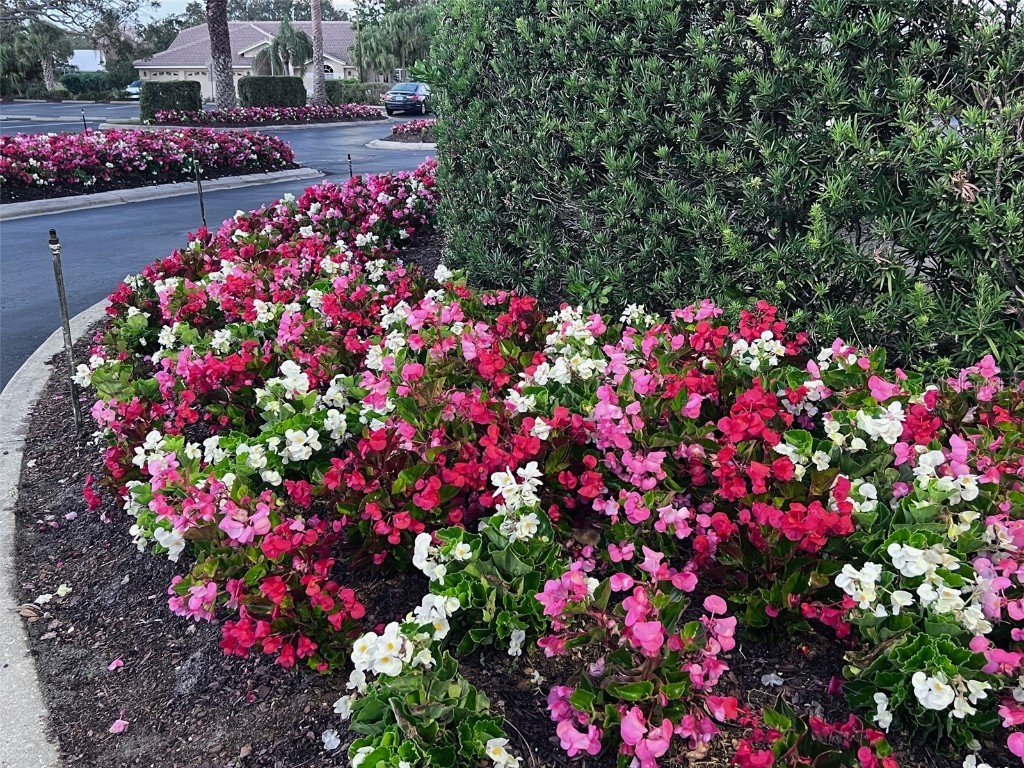 6707 Stone River Road #203 Bradenton FL 34203 A4635562 image38