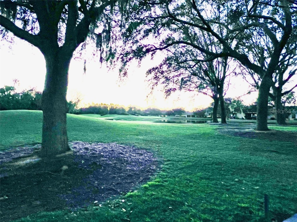 6707 Stone River Road #203 Bradenton FL 34203 A4635562 image65