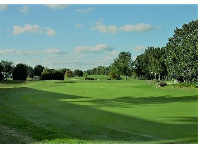 6707 SW 113th Place Ocala FL 34476 OM707430 image48