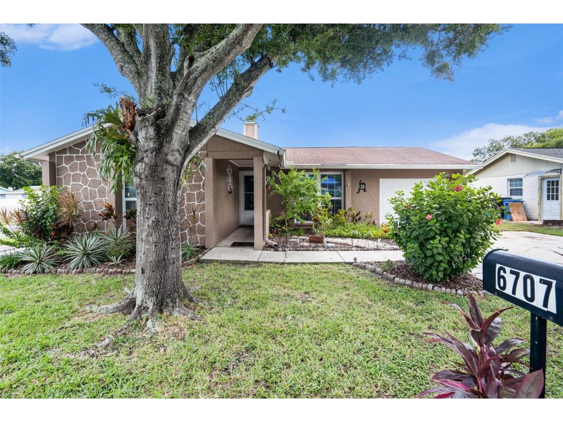 6707 Village Grove Ct Tampa FL 33615 T3483423 image1