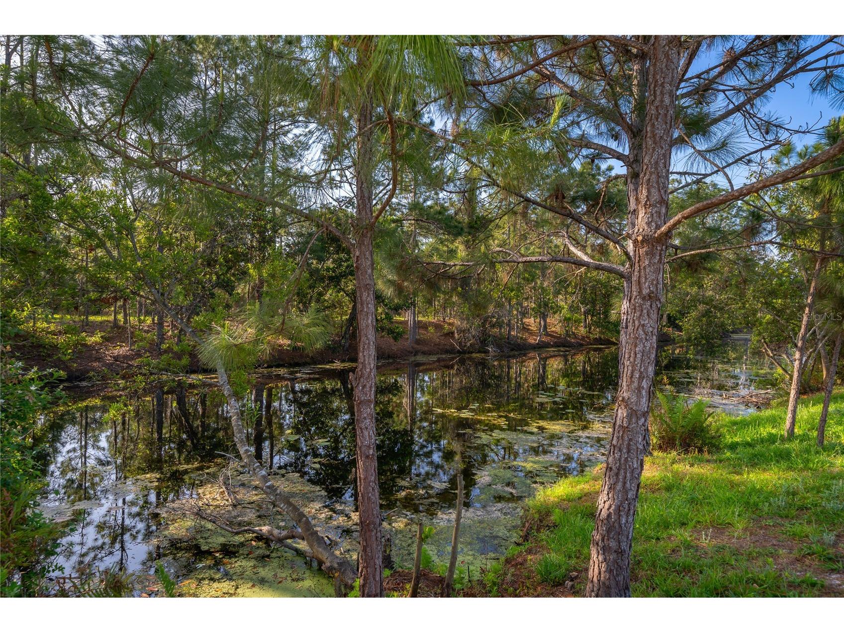 6708 Alder Road Harmony FL 34773 S5146494 image12