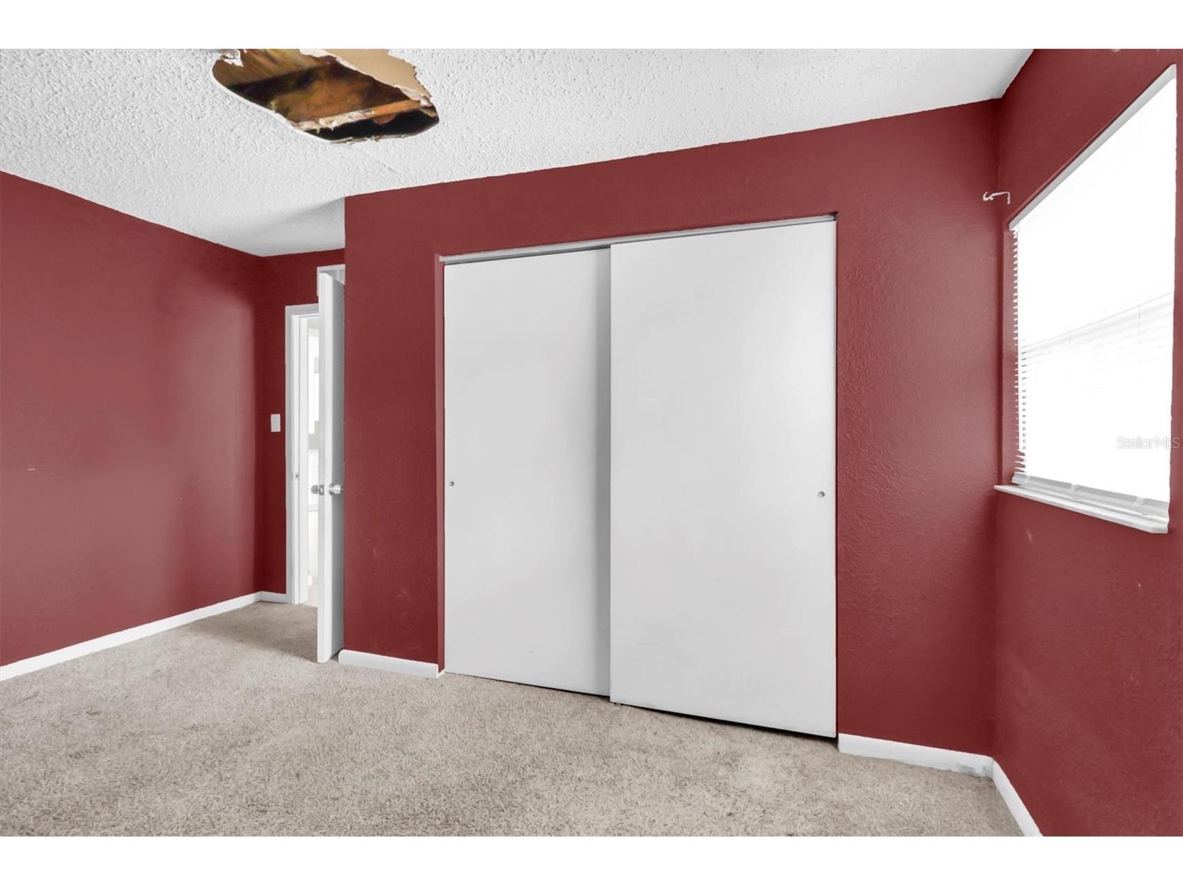 6708 Medlar Drive New Port Richey FL 34653 W7883098 image21