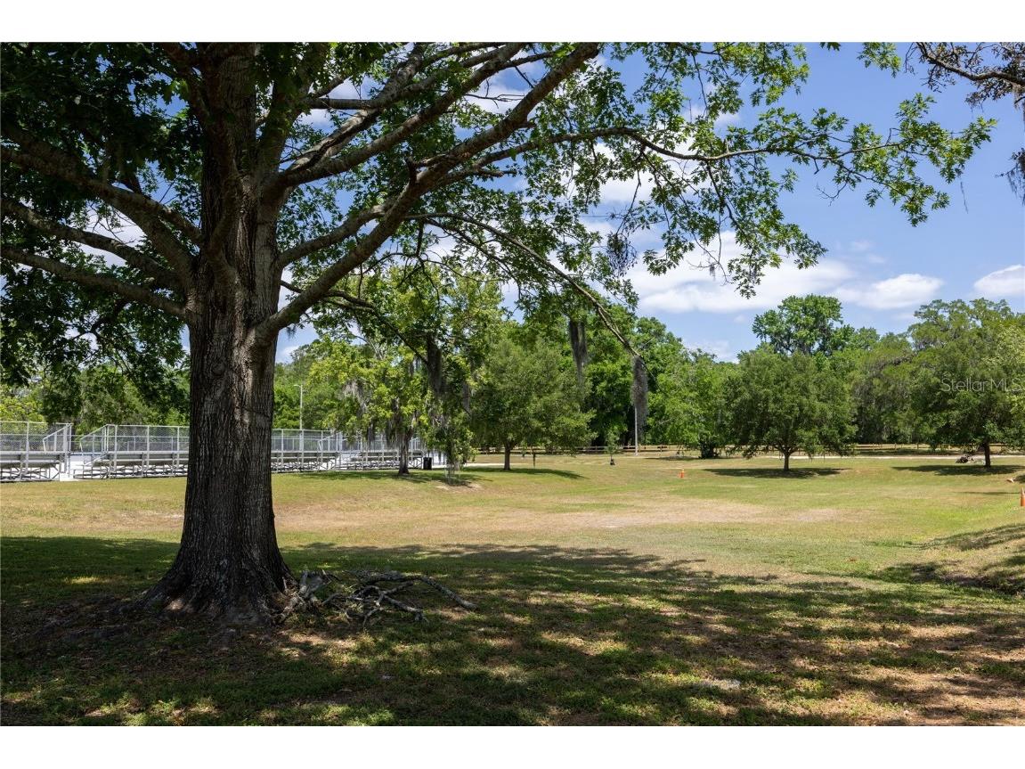 6708 SW 45th Avenue Gainesville FL 32608 OM712909 image38