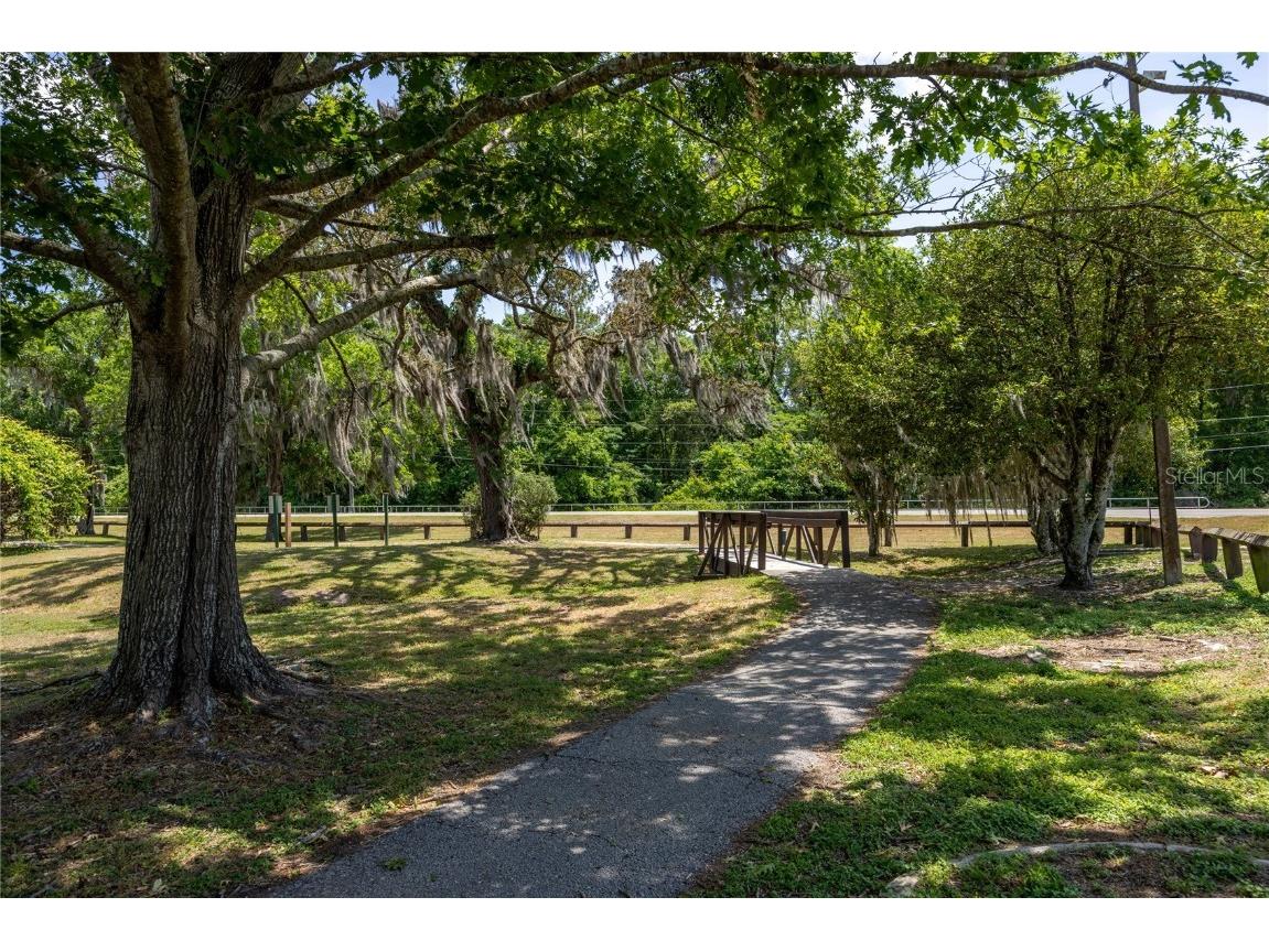 6708 SW 45th Avenue Gainesville FL 32608 OM712909 image40