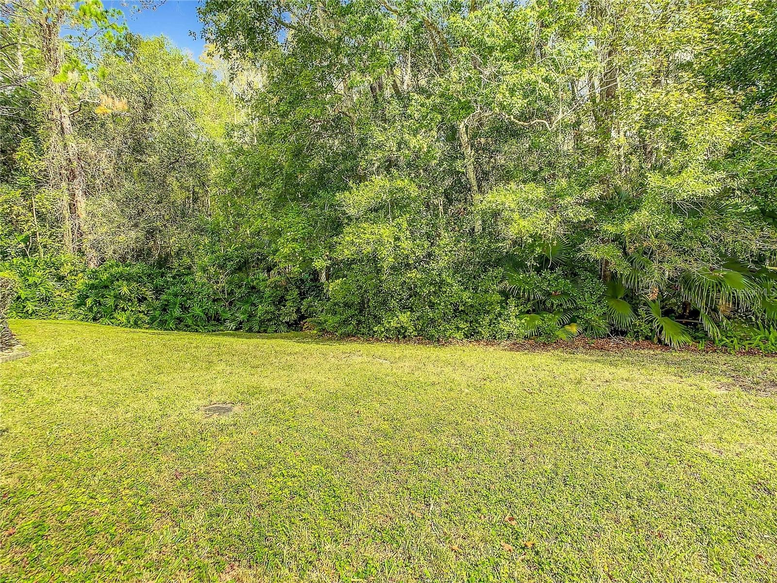 6708 Yardley Way Tampa FL 33647 TB8489115 image49