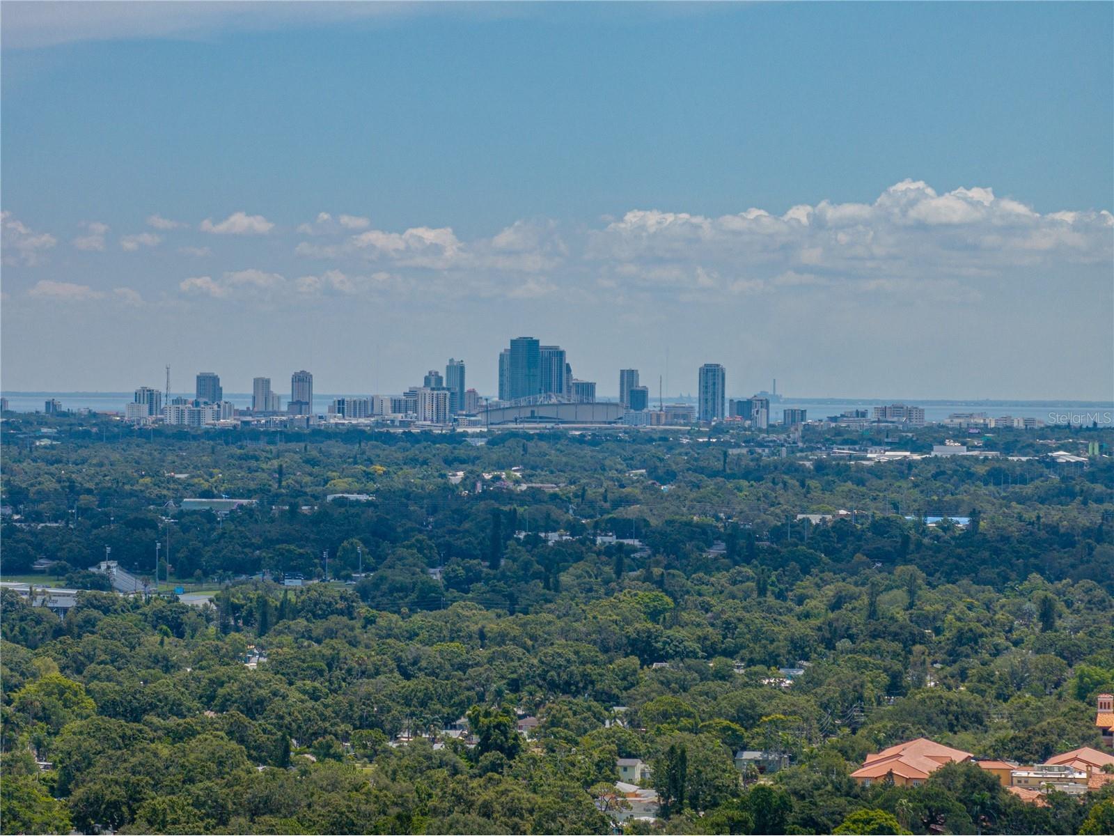 6709 Cardinal Drive S Saint Petersburg FL 33707 TB8456636 image79