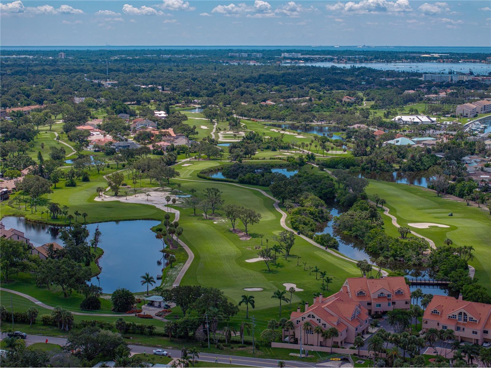 6709 Cardinal Drive S Saint Petersburg FL 33707 TB8532569 image3