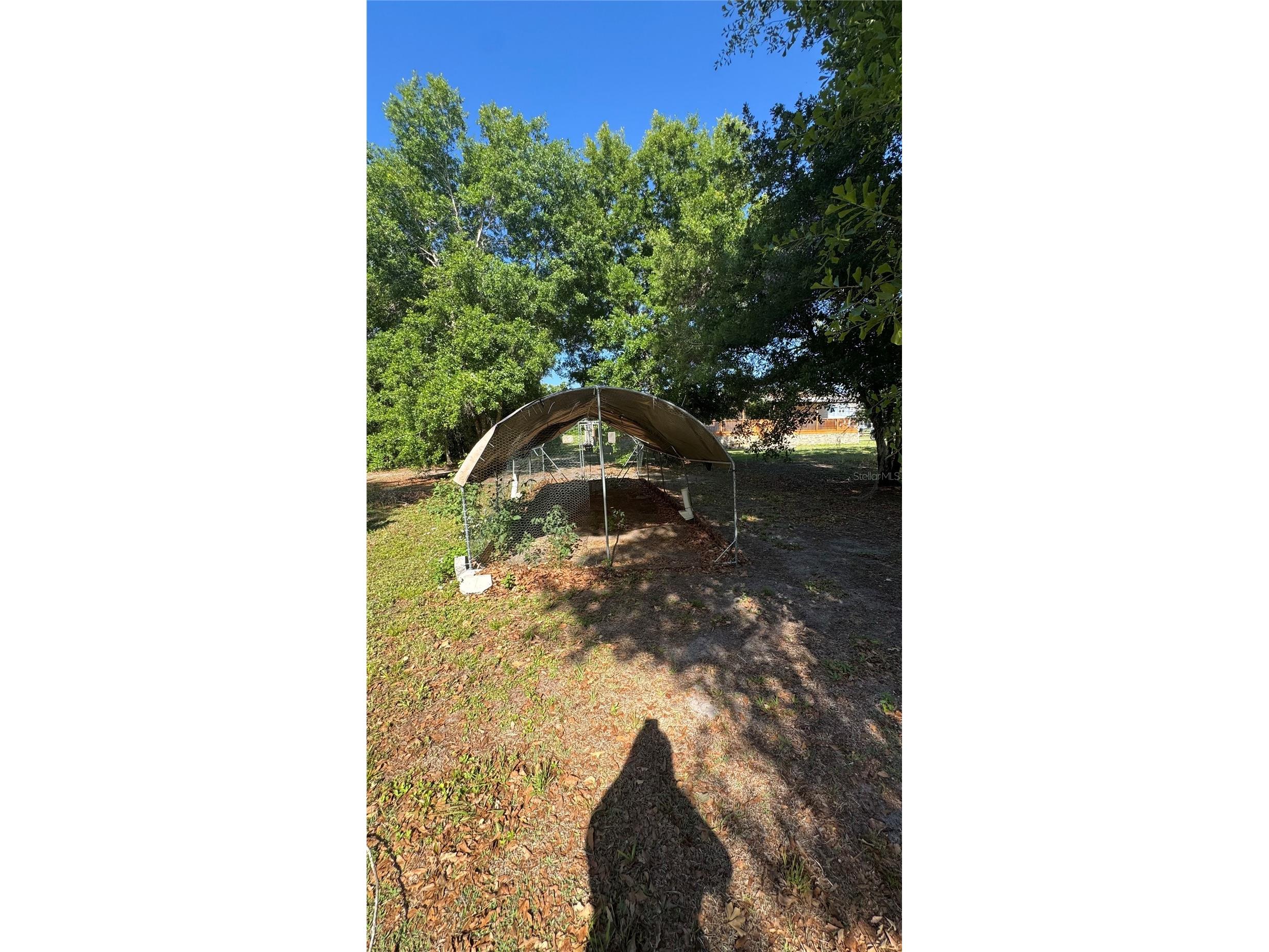 6709 Cooper Crossing Court Plant City FL 33565 TB8498342 image60