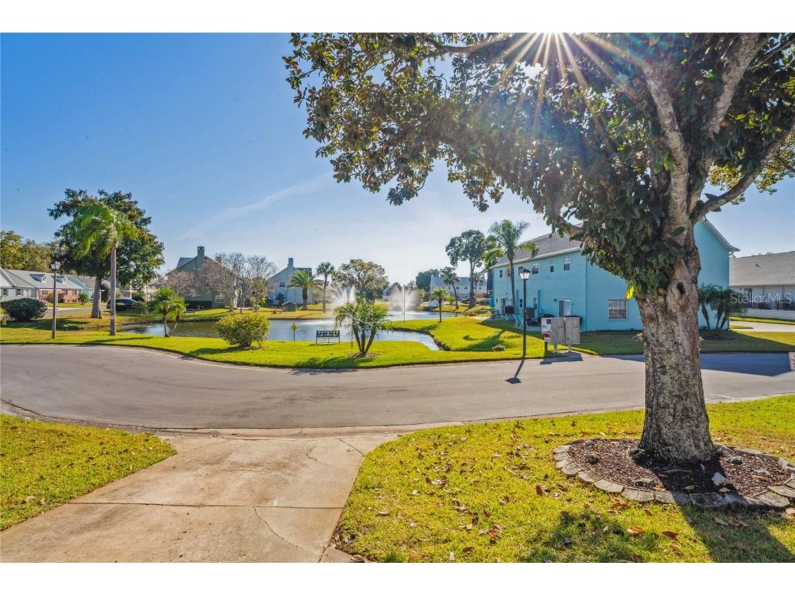 6709 Timbercove Lane #6709 New Port Richey FL 34653 W7880986 image5