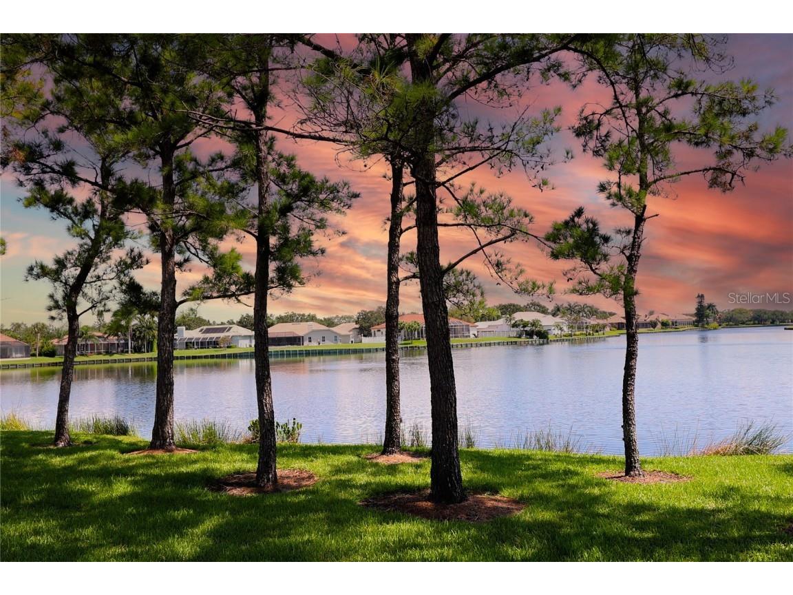 671 Malta Court NE #202 Saint Petersburg FL 33703 U8213270 image1