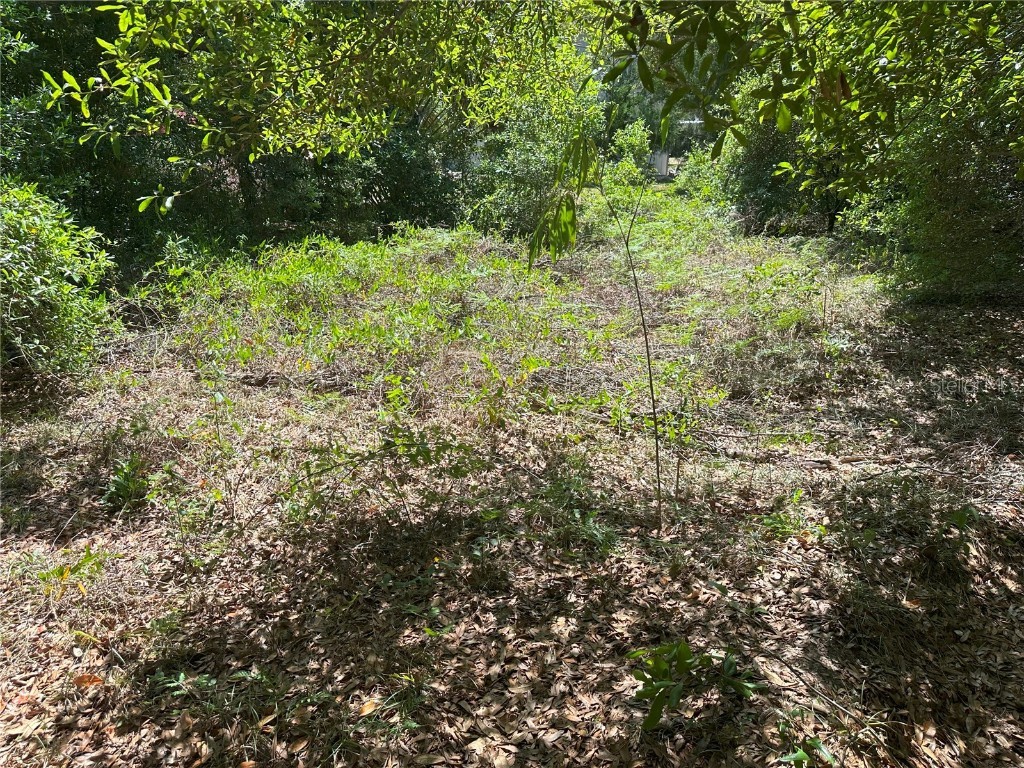 671 N Griffith Avenue Crystal River FL 34429 W7875332 image1