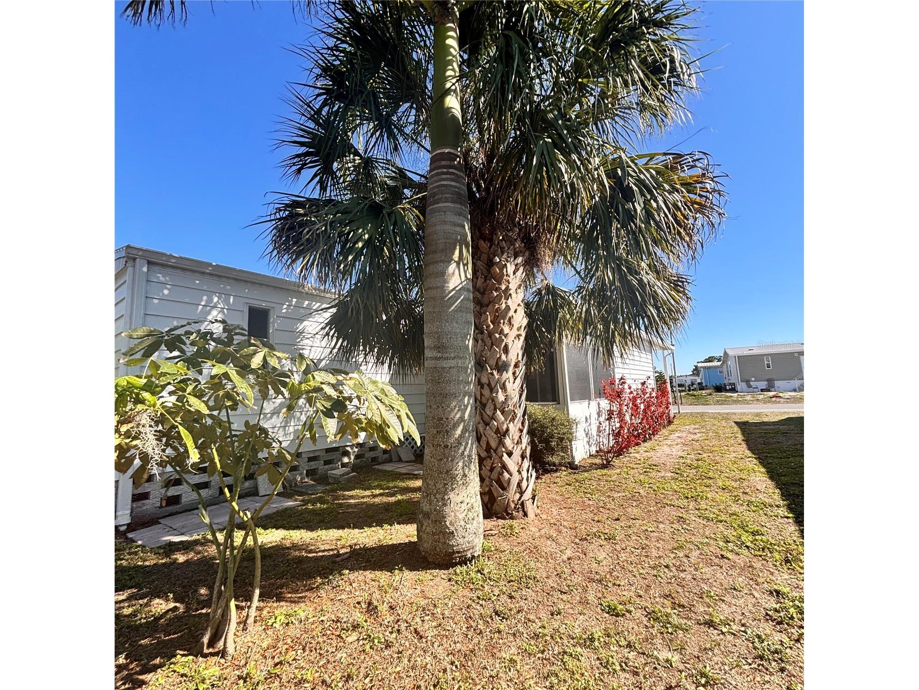 6710 36th Avenue E #111 Palmetto FL 34221 TB8486172 image20