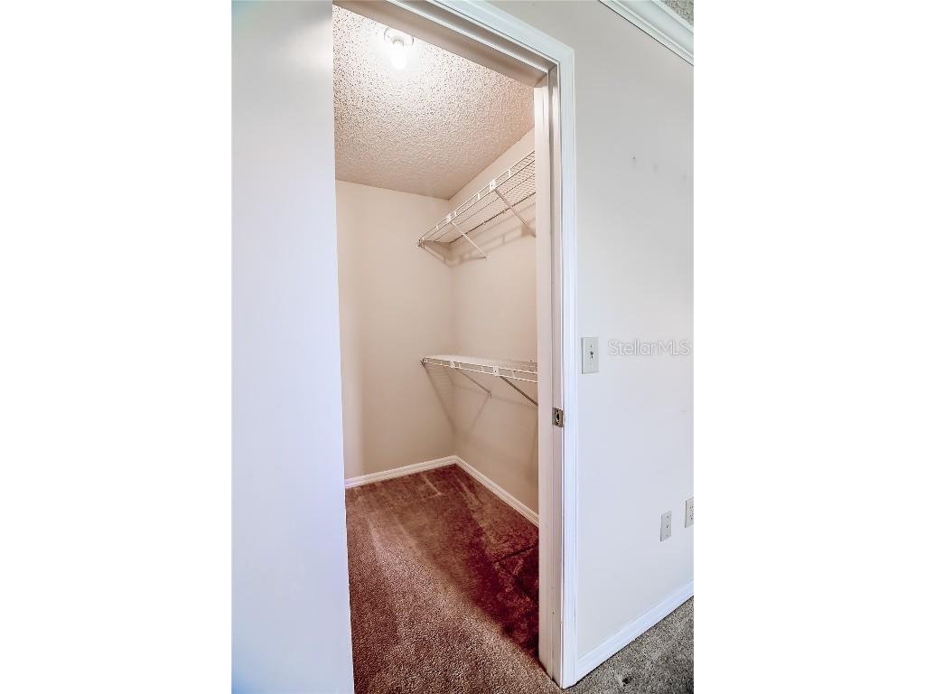 6710 Hickorywood Ln #1B New Port Richey FL 34653 W7874234 image6