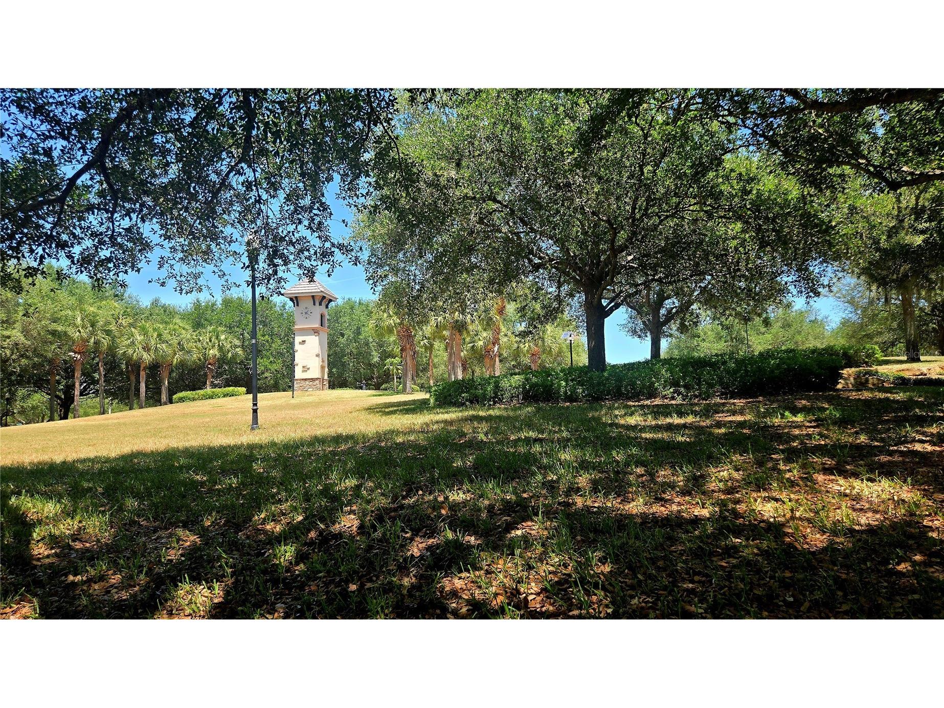 6711 Somerset Garden Way Apollo Beach FL 33572 TB8503371 image15