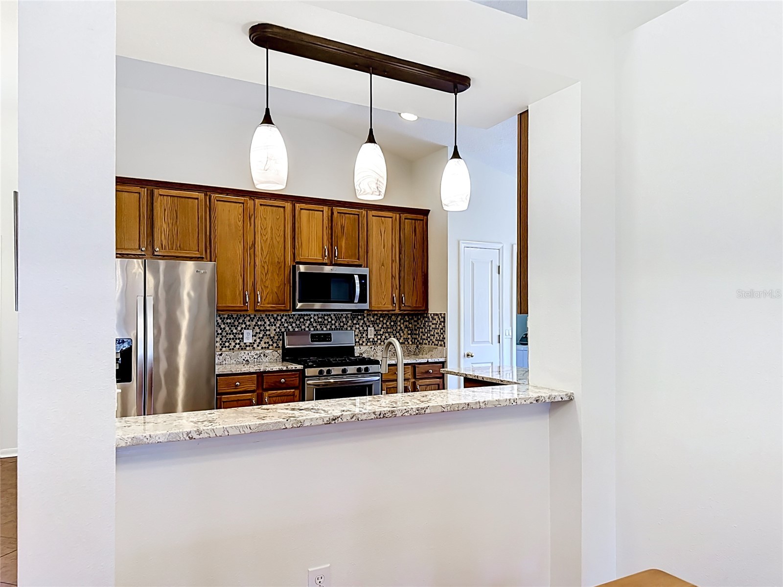6711 Somerset Garden Way Apollo Beach FL 33572 TB8503371 image35