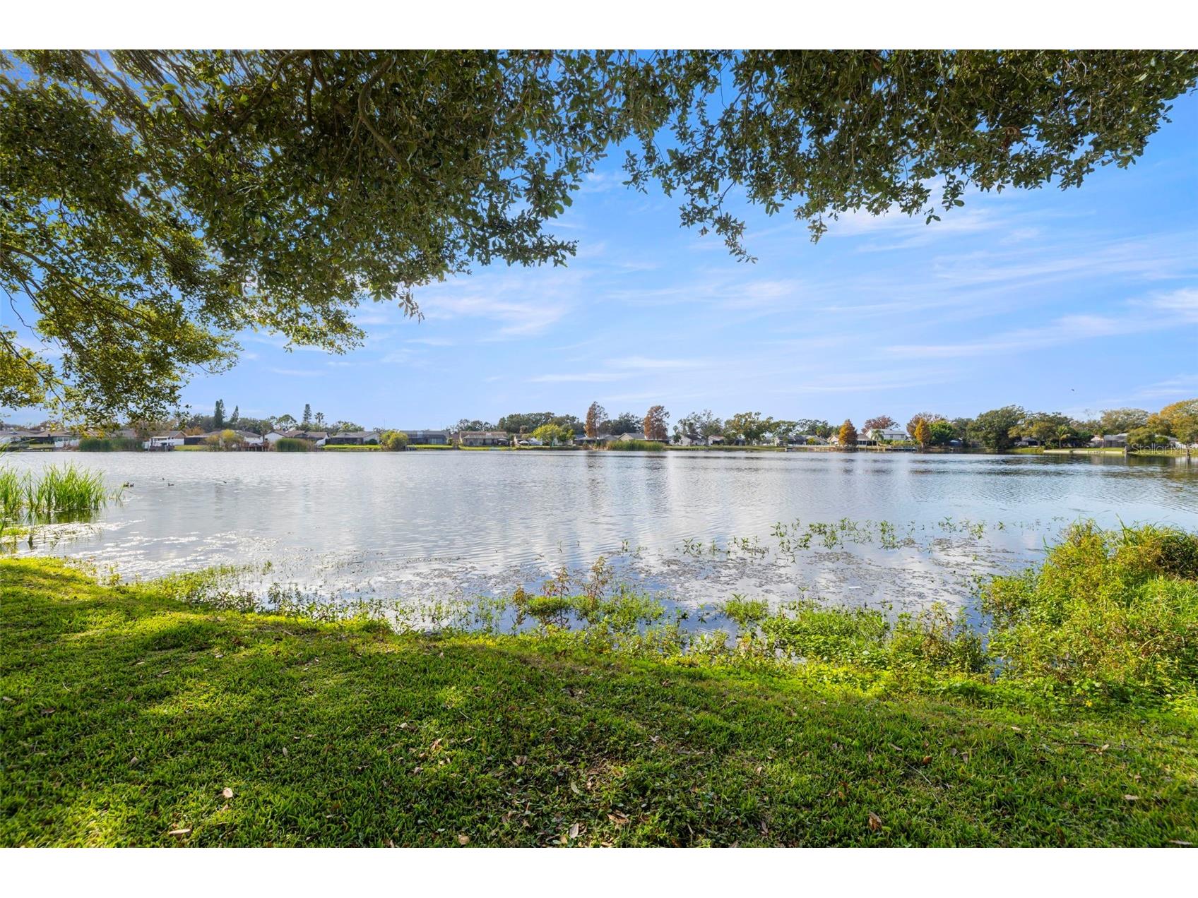 6712 Ranger Drive Tampa FL 33615 TB8462496 image36