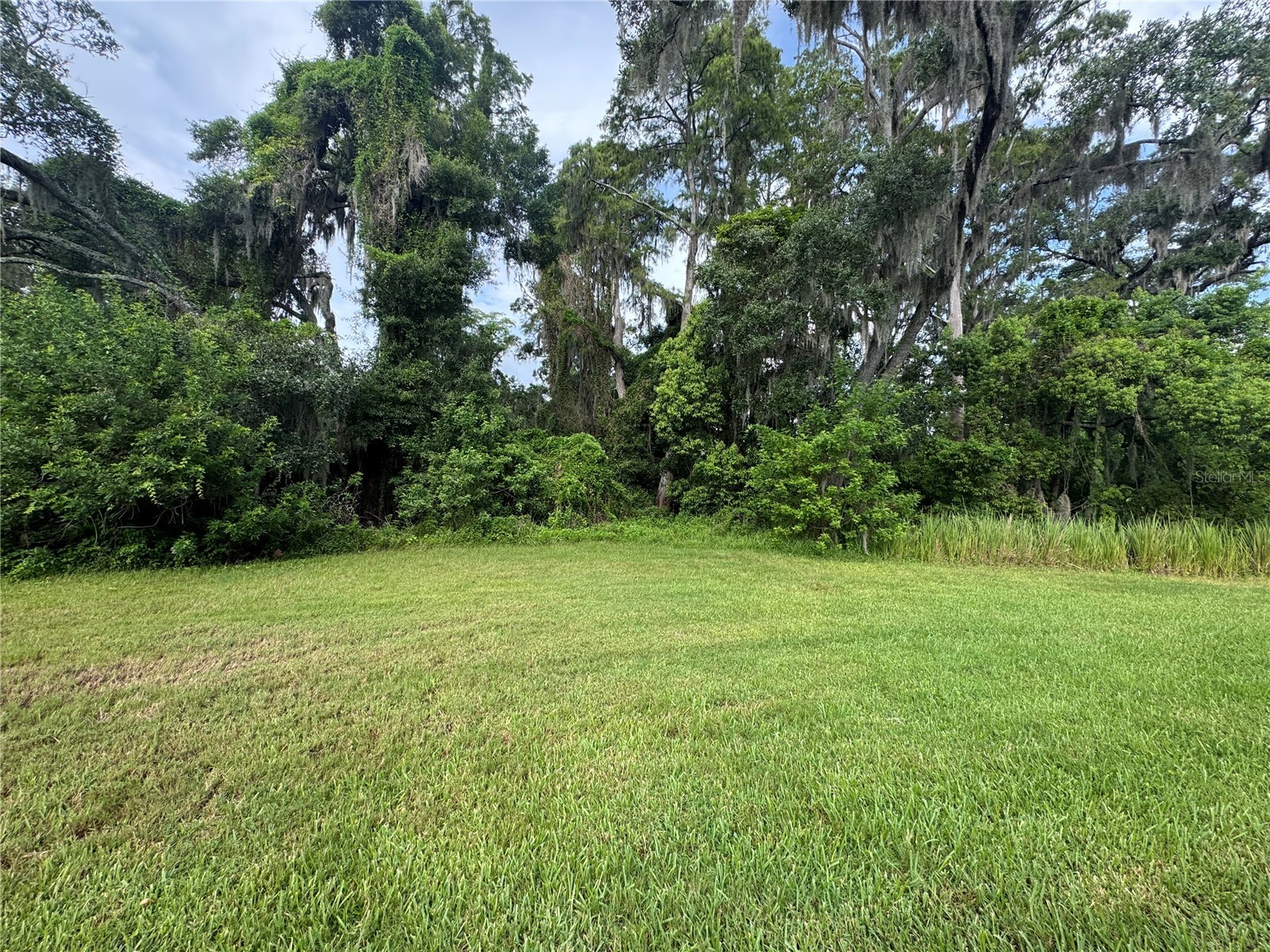 6712 Rocky Park Street Tampa FL 33625 G5114539 image20