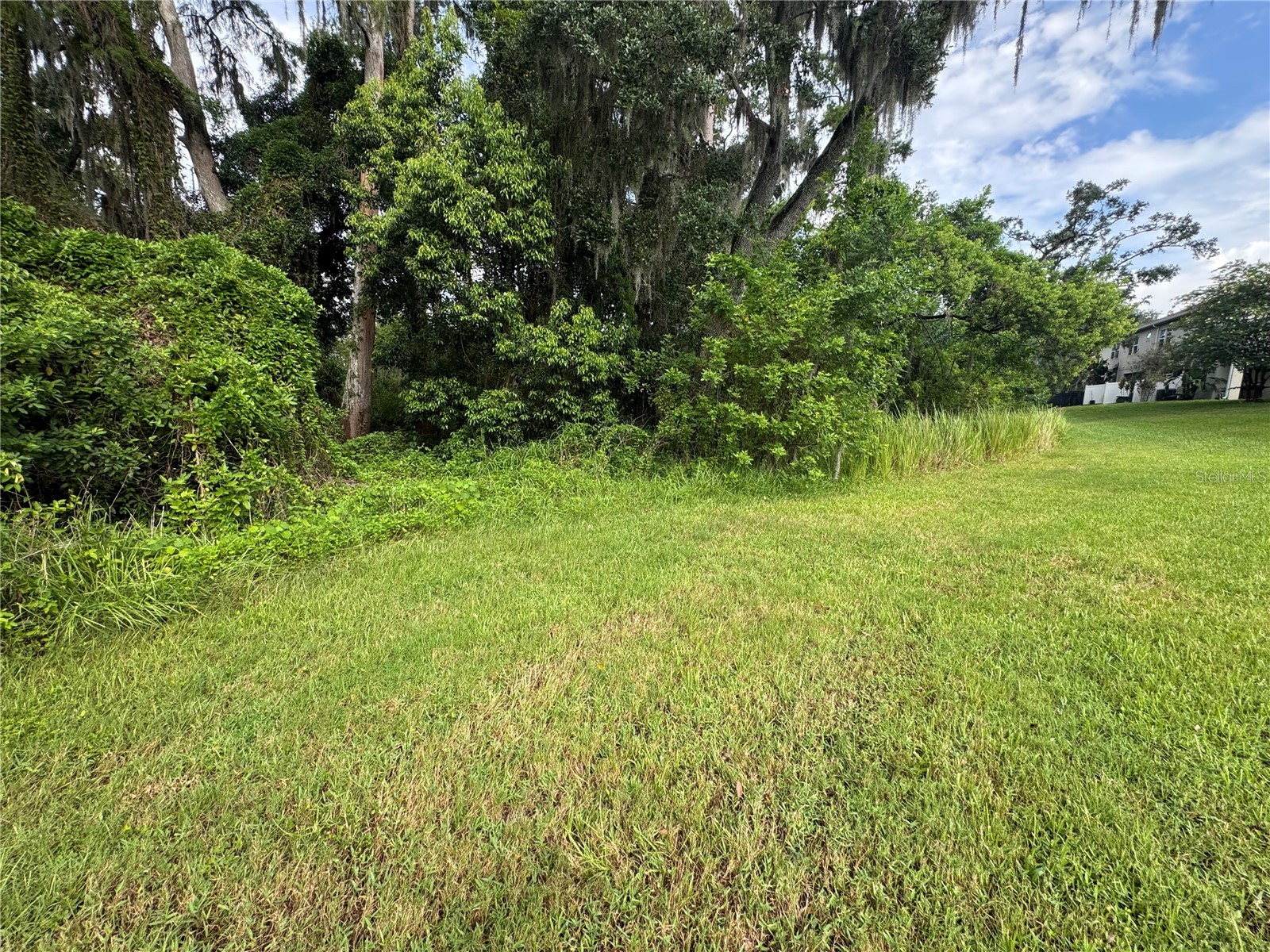 6712 Rocky Park Street Tampa FL 33625 G5114539 image21