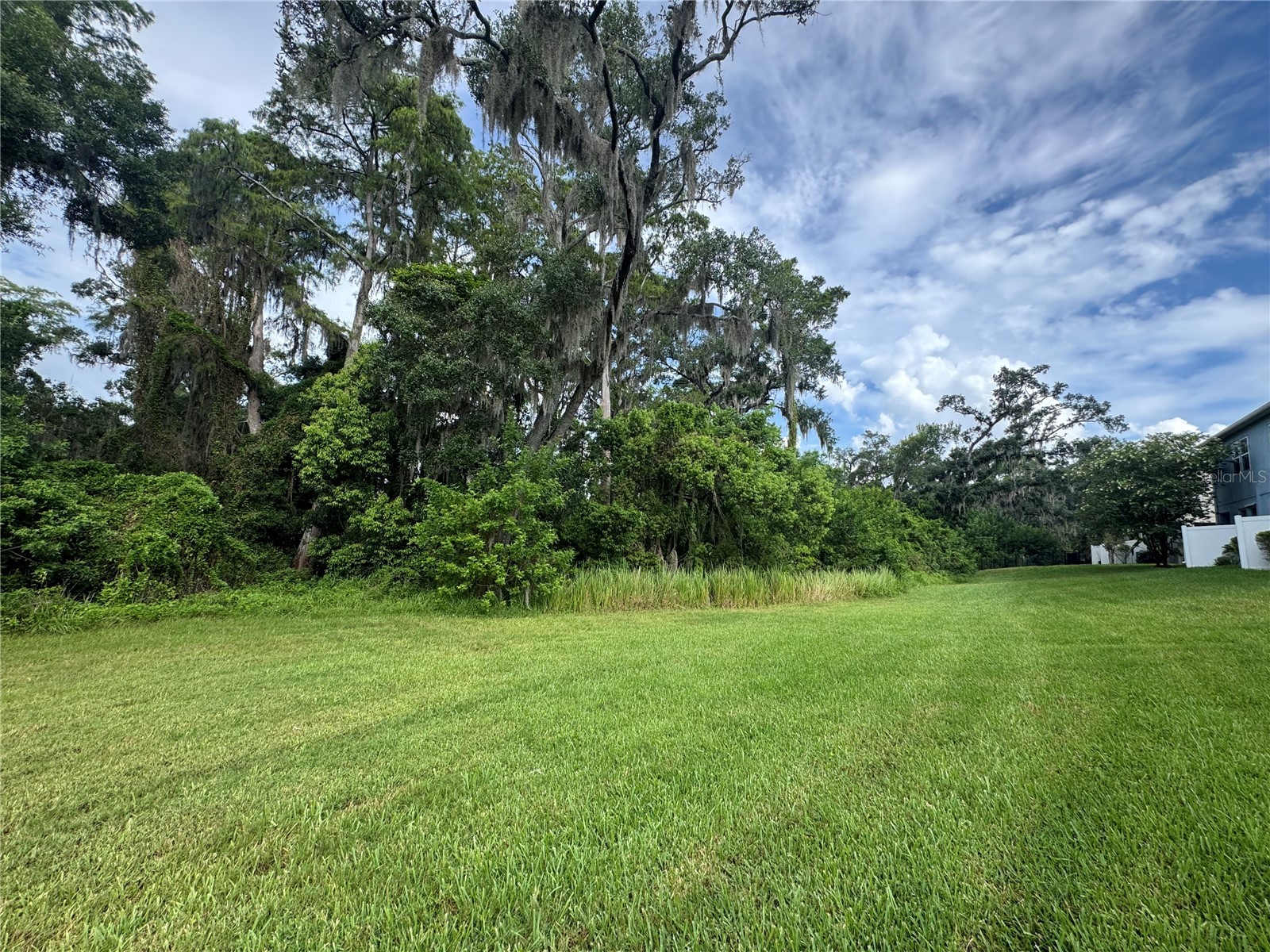 6712 Rocky Park Street Tampa FL 33625 G5114539 image22