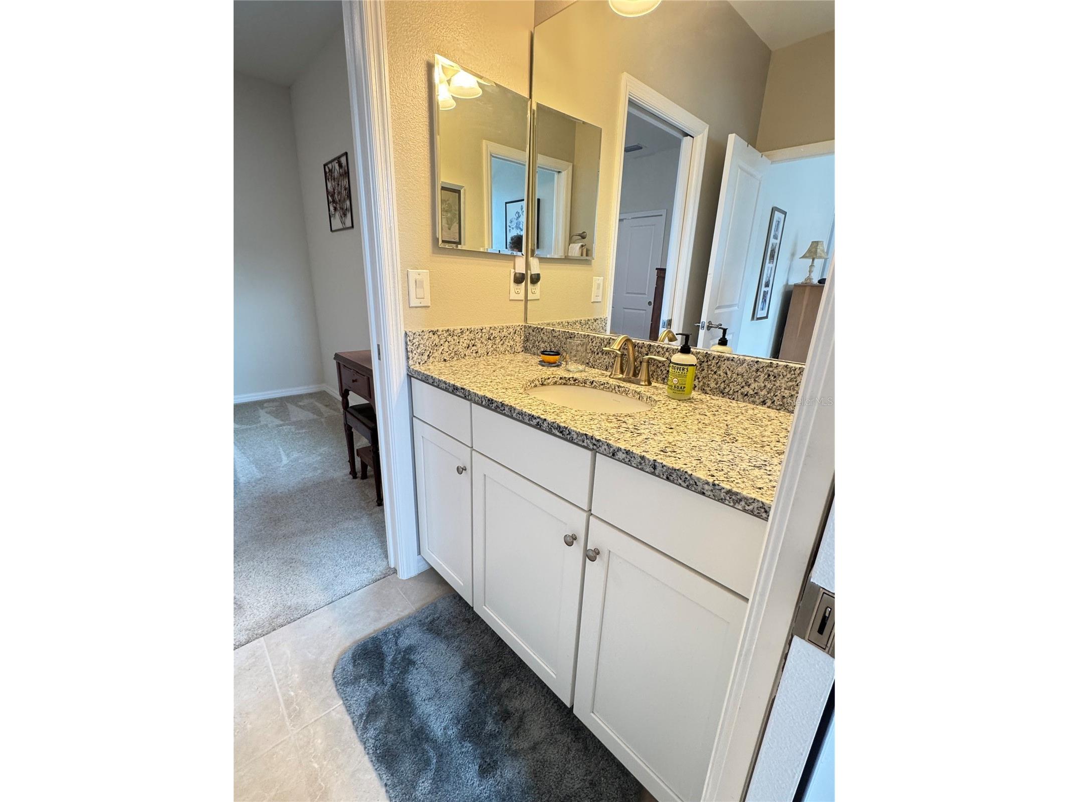 6712 Rocky Park Street Tampa FL 33625 G5114539 image61