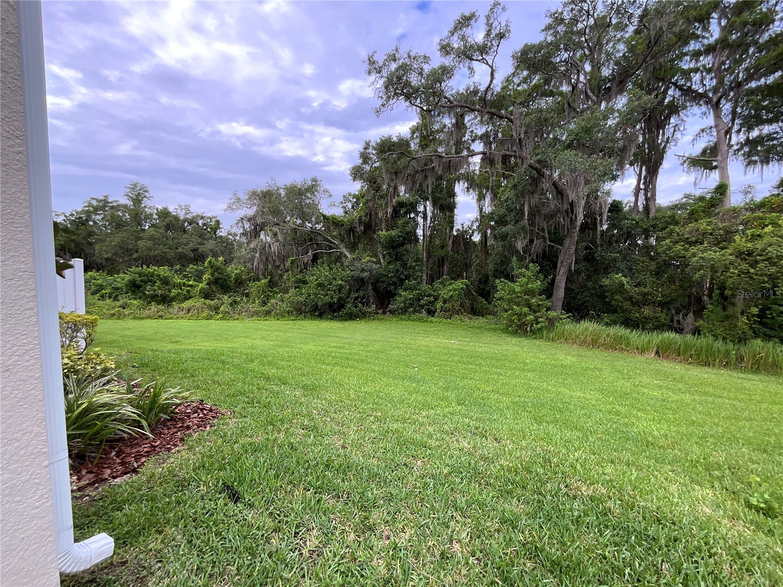 6712 Rocky Park Street Tampa FL 33625 G5114539 image8
