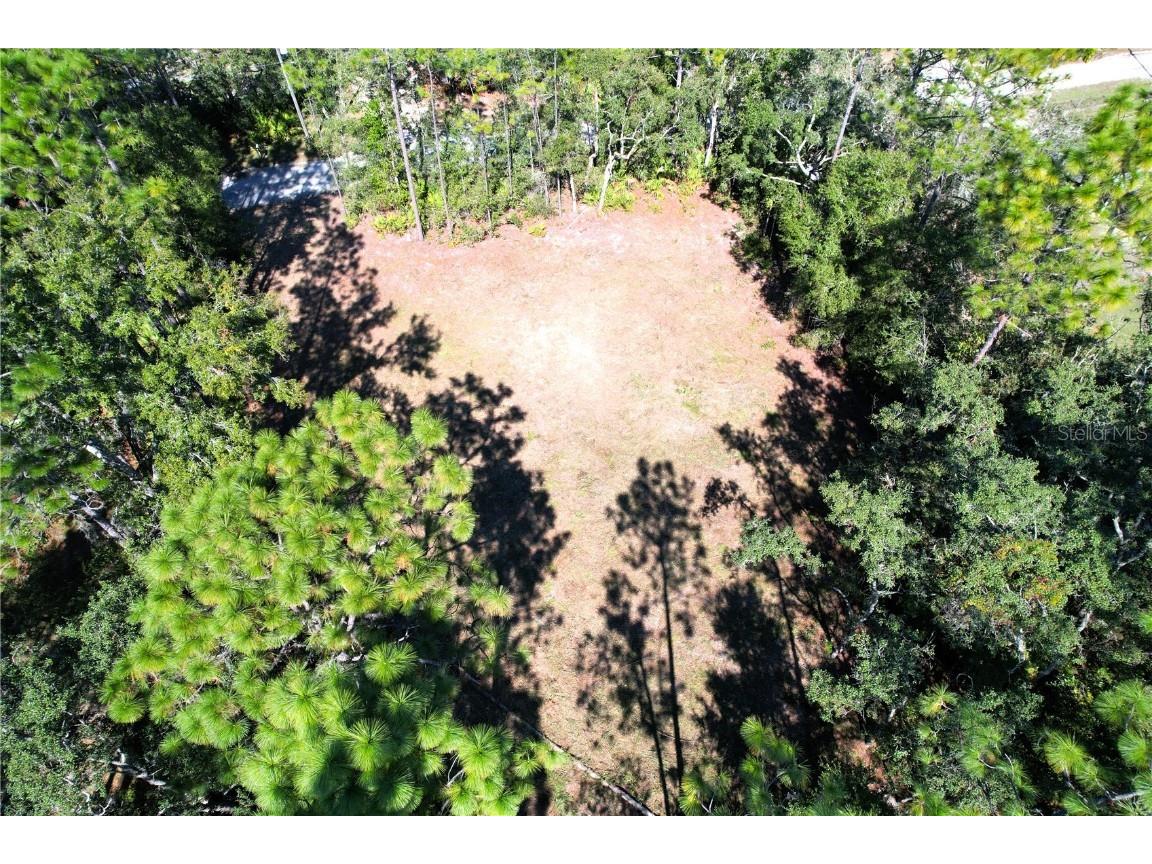 6712 W Macopin Lane Crystal River FL 34429 OM712540 image11