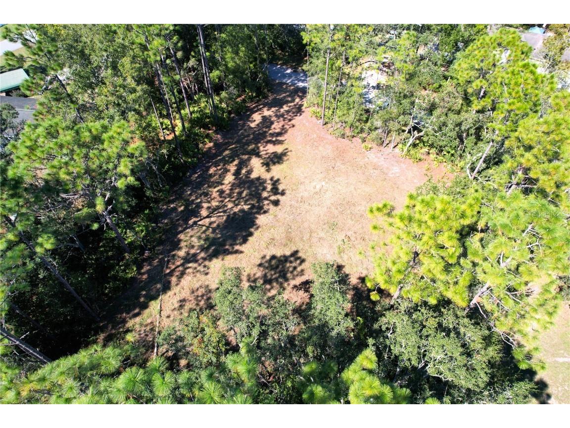 6712 W Macopin Lane Crystal River FL 34429 OM712540 image12