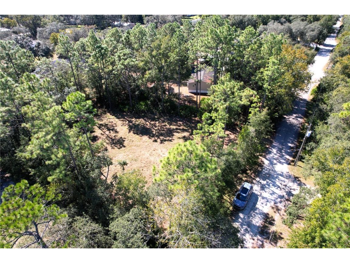 6712 W Macopin Lane Crystal River FL 34429 OM712540 image14