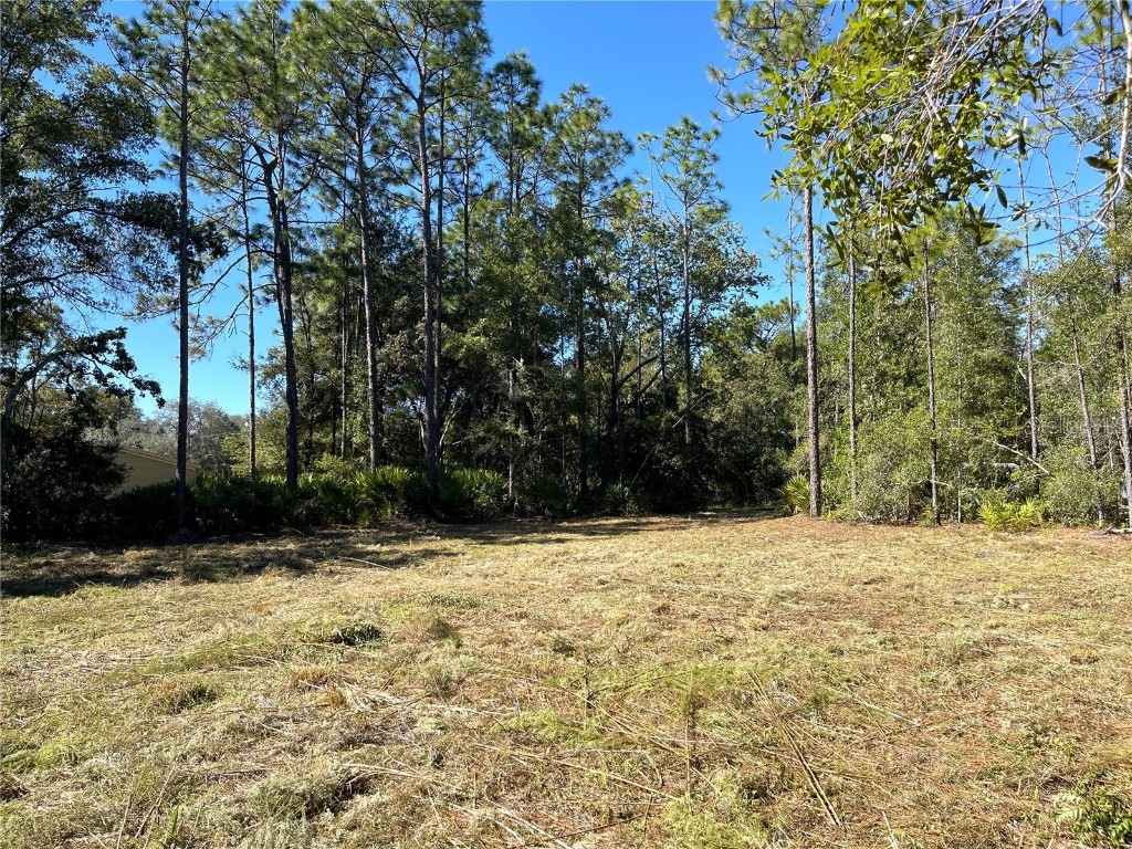 6712 W Macopin Lane Crystal River FL 34429 OM712540 image15