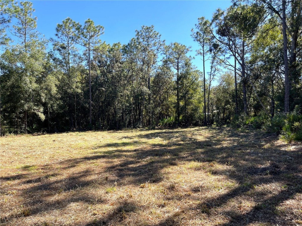 6712 W Macopin Lane Crystal River FL 34429 OM712540 image7