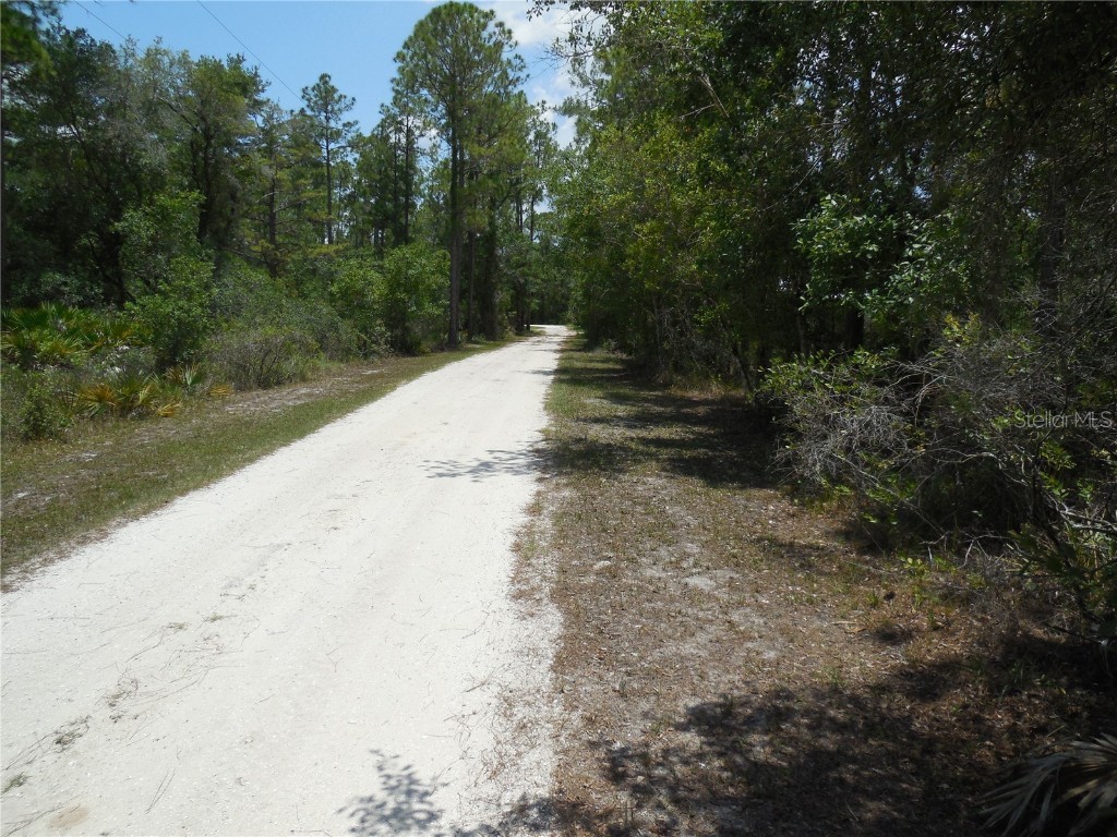 6713 Balsam Place Sebring FL 33875 C7494558 image1