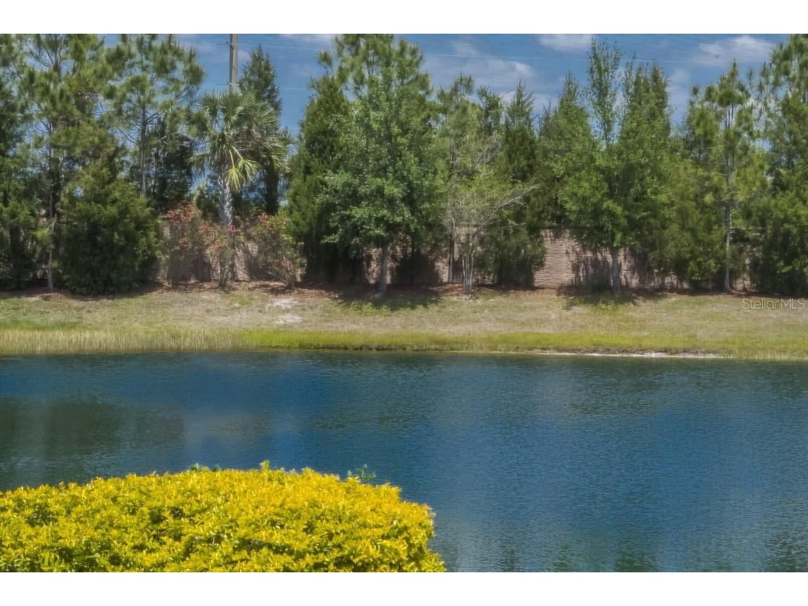 6713 Chester Trail Bradenton FL 34202 A4649512 image25