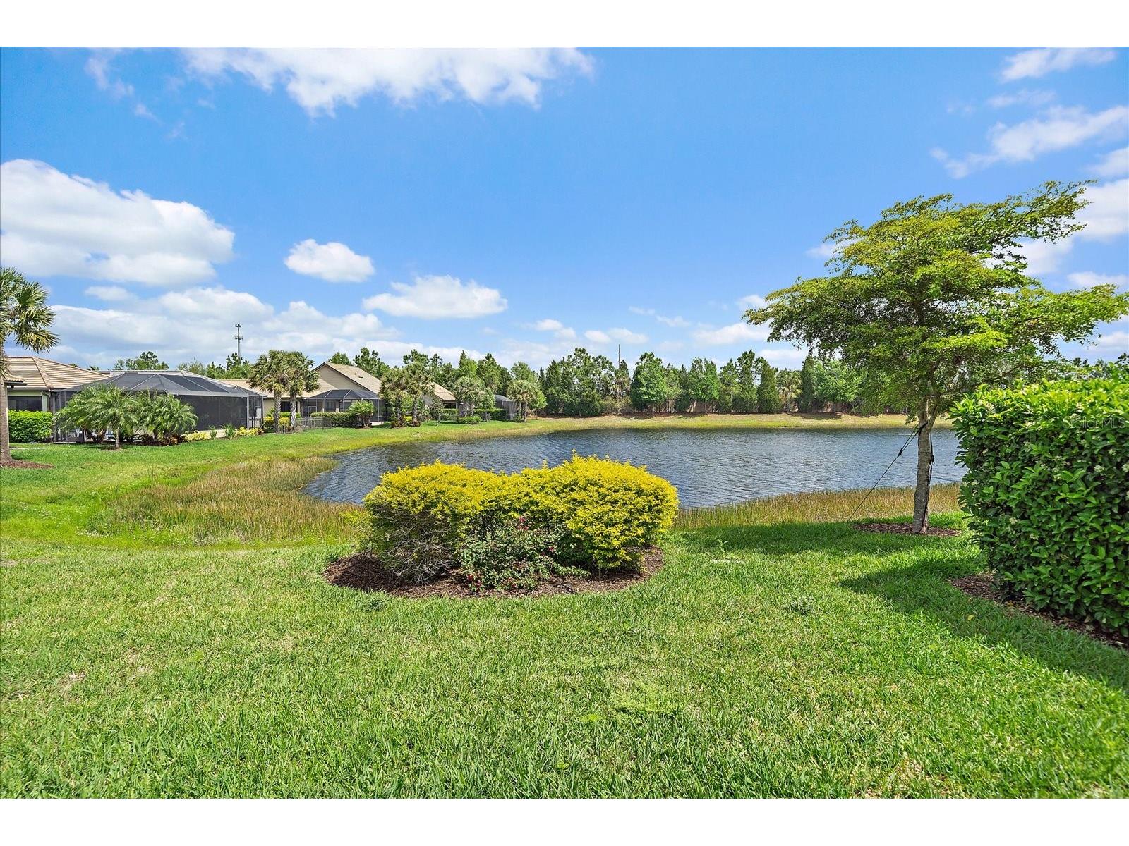 6713 Chester Trail Lakewood Ranch FL 34202 A4688515 image34
