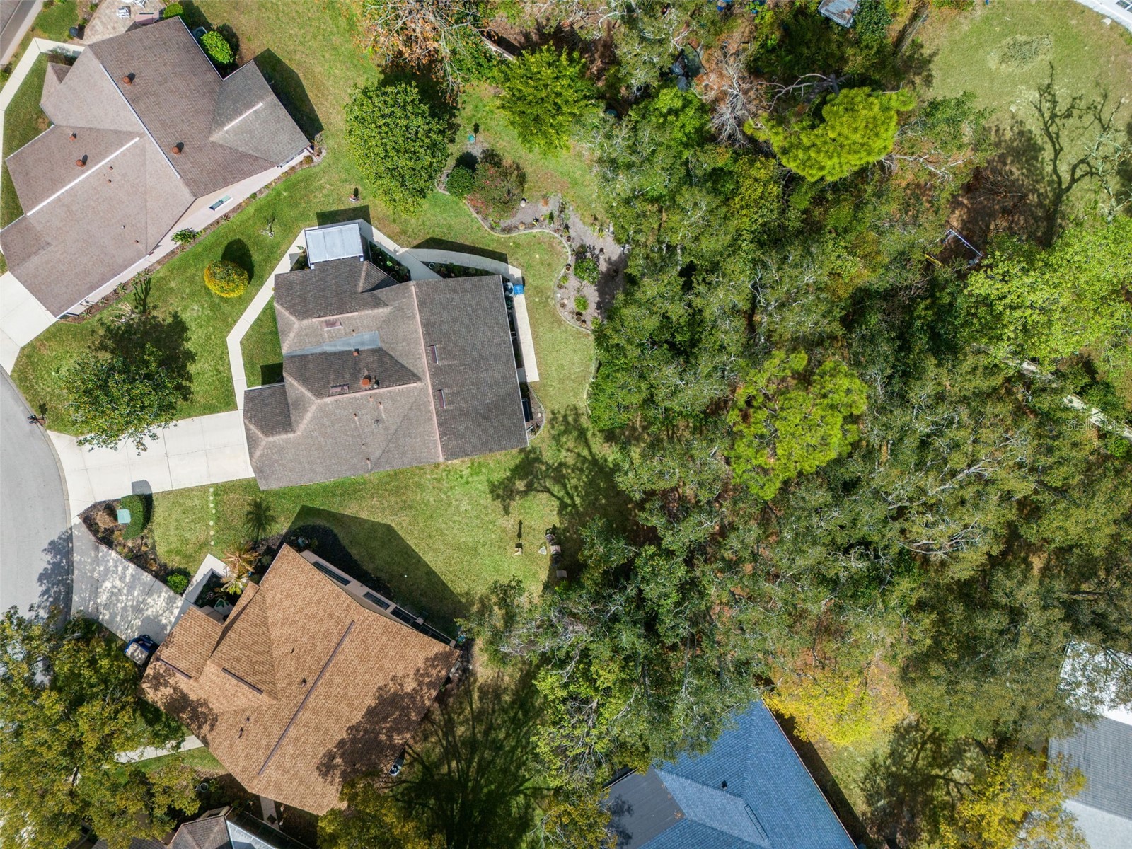 6713 Oak Cluster Circle Spring Hill FL 34606 W7883706 image45