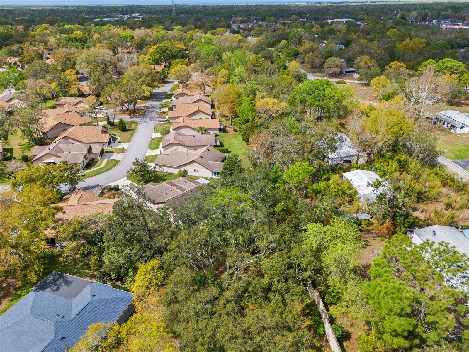 6713 Oak Cluster Circle Spring Hill FL 34606 W7883706 image47