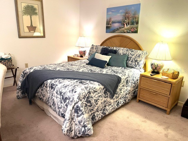 6713 Stone River Rd #203 Bradenton FL 34203 A4677191 image18