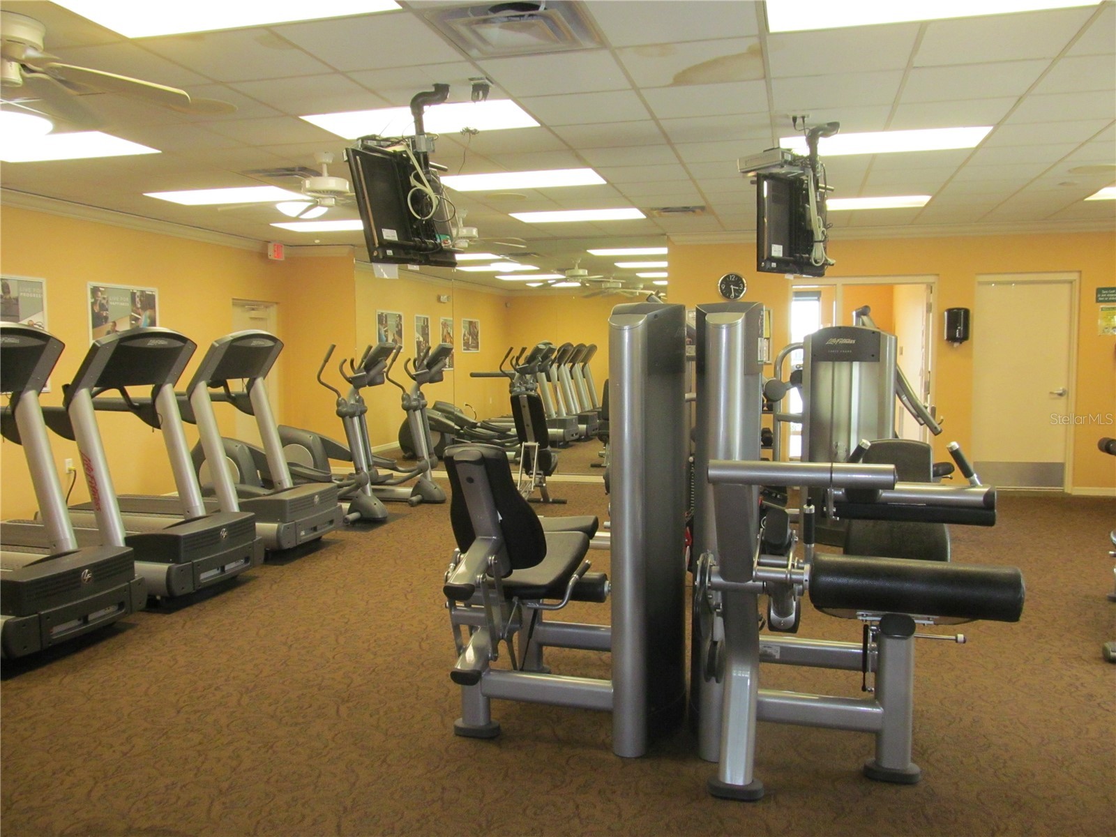 6713 Stone River Rd #203 Bradenton FL 34203 A4677191 image41