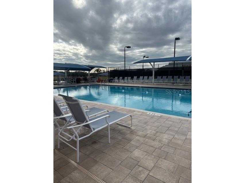 6713 Stone River Road #206 Bradenton FL 34203 A4639793 image45