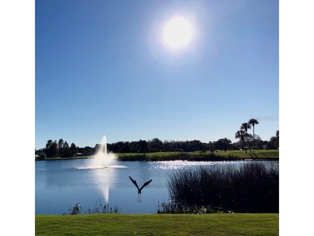 6713 Stone River Road #206 Bradenton FL 34203 A4639793 image54