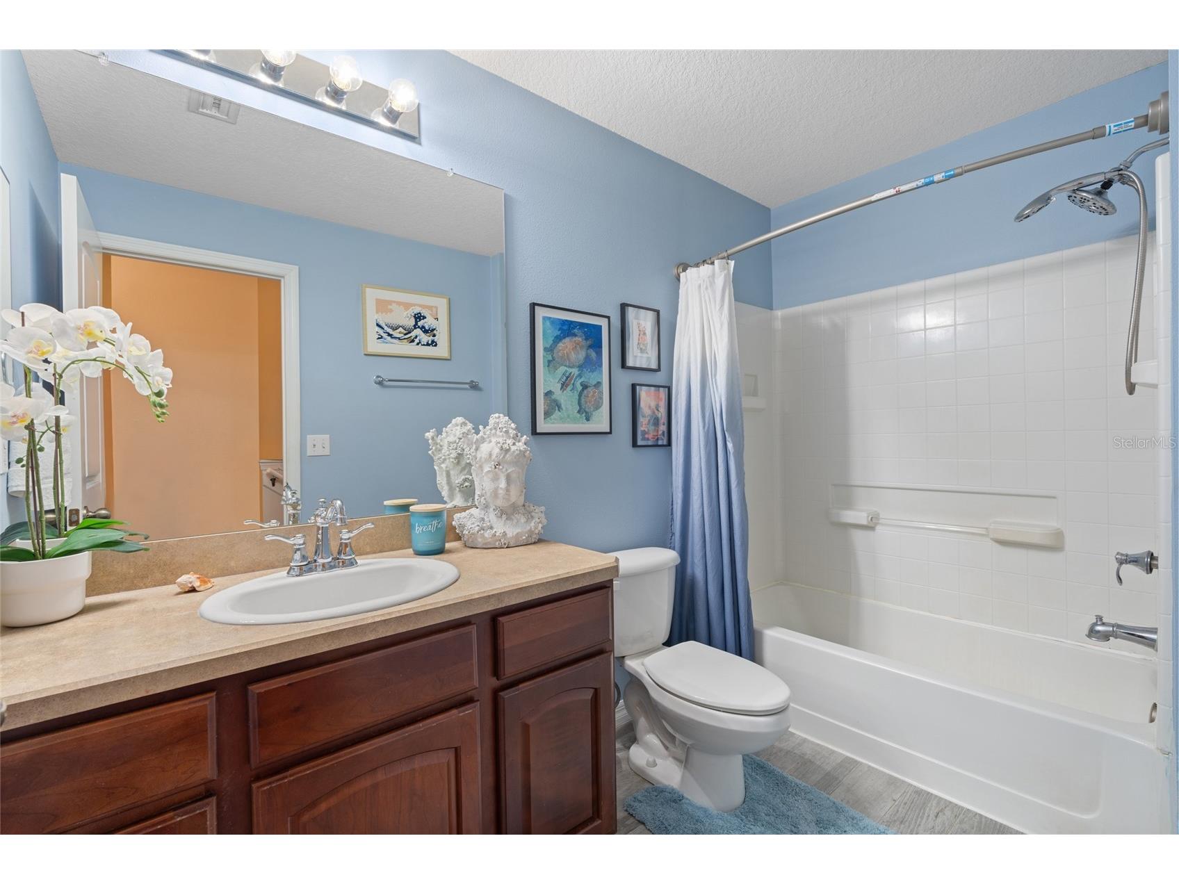 6714 Breezy Palm Drive Riverview FL 33578 TB8492709 image24
