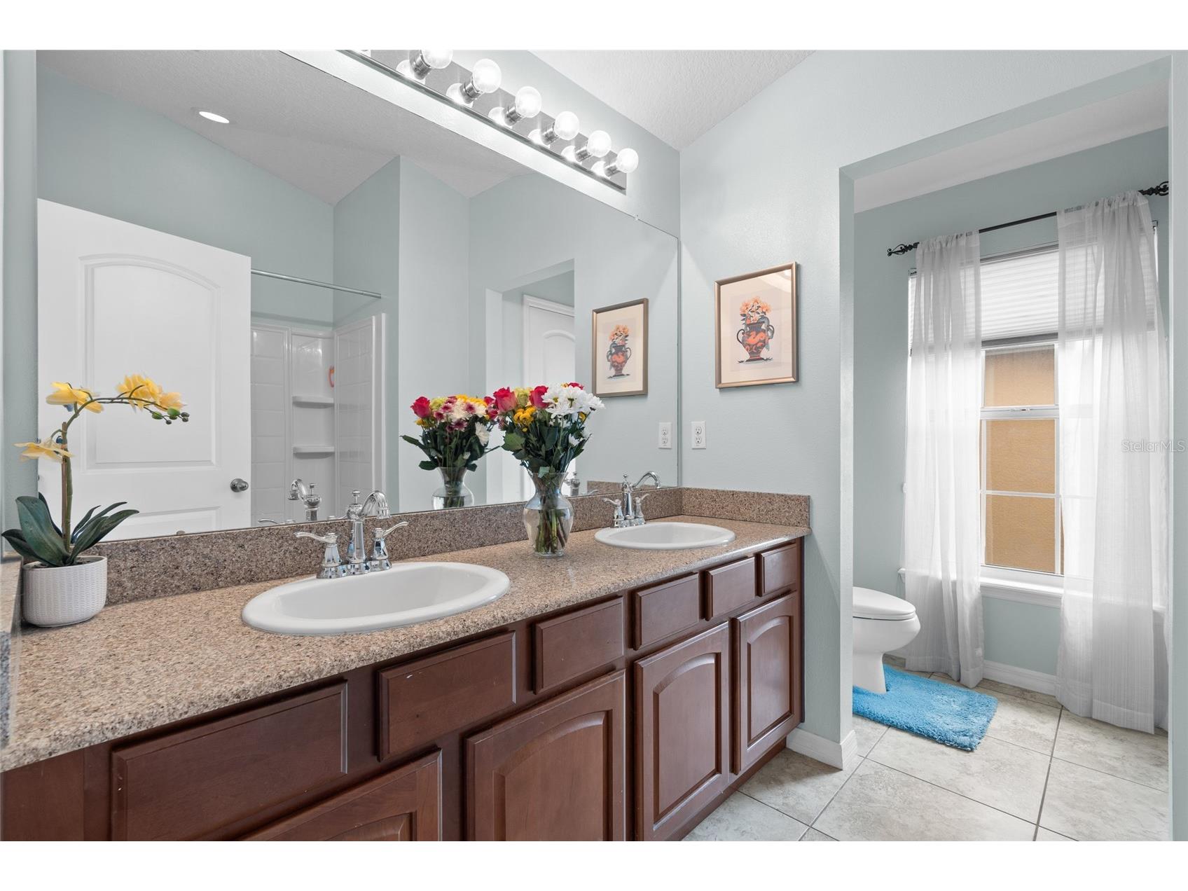 6714 Breezy Palm Drive Riverview FL 33578 TB8492709 image4