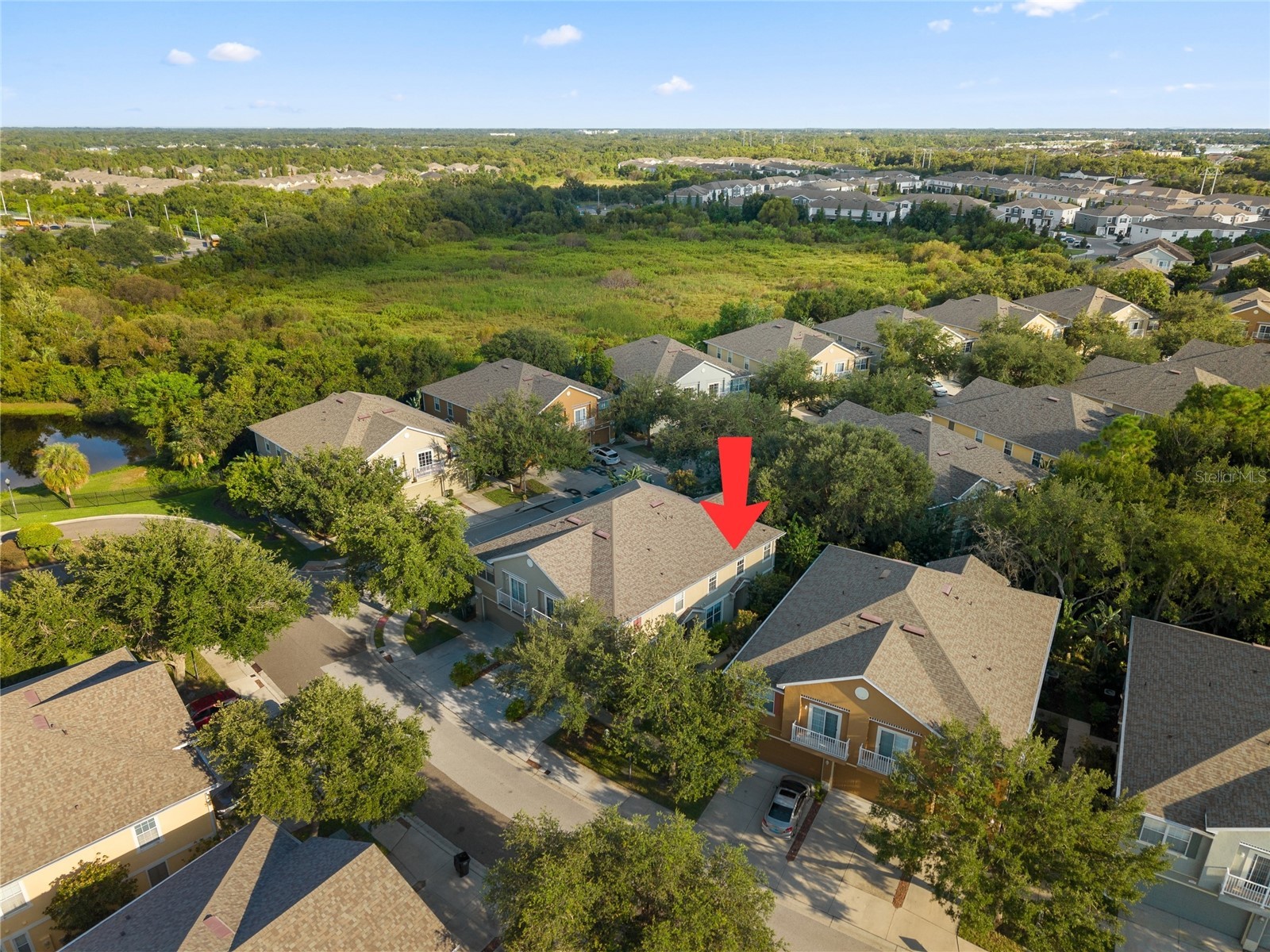 6714 Breezy Palm Drive Riverview FL 33578 TB8492709 image5