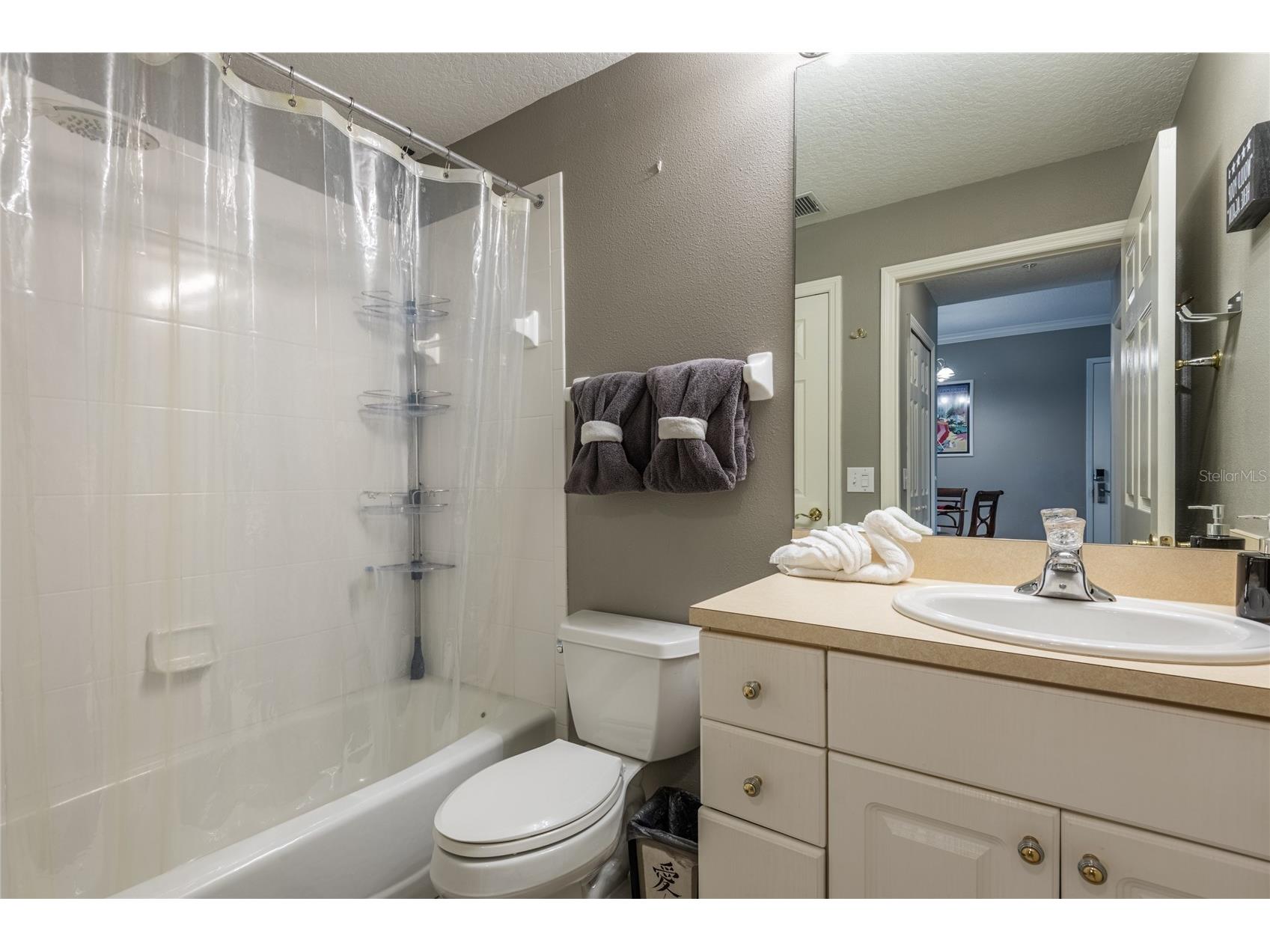 6714 Dali Avenue #101 Land O Lakes FL 34637 TB8512952 image27