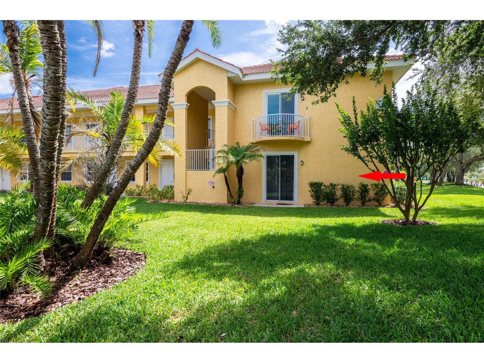 6714 Dali Avenue #101 Land O Lakes FL 34637 TB8512952 image3