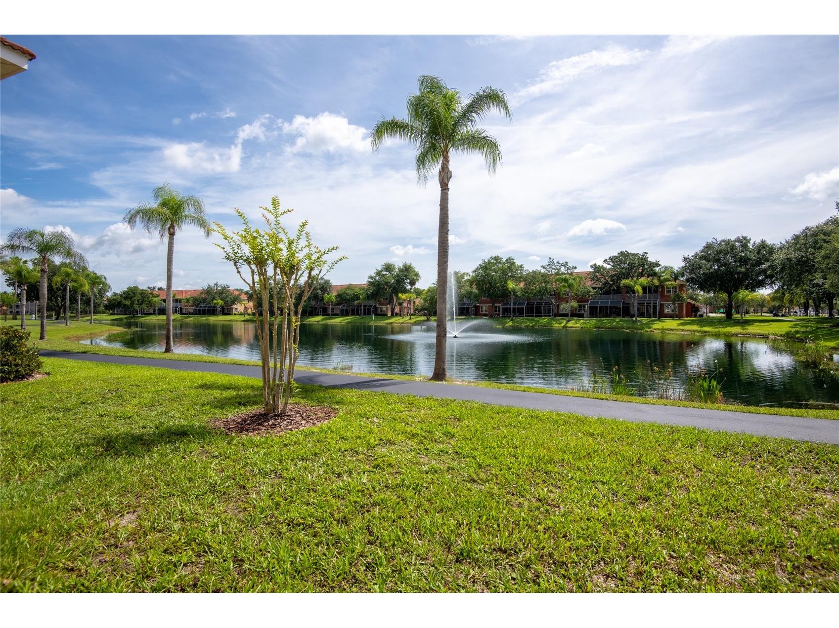 6714 Dali Avenue #101 Land O Lakes FL 34637 TB8512952 image32