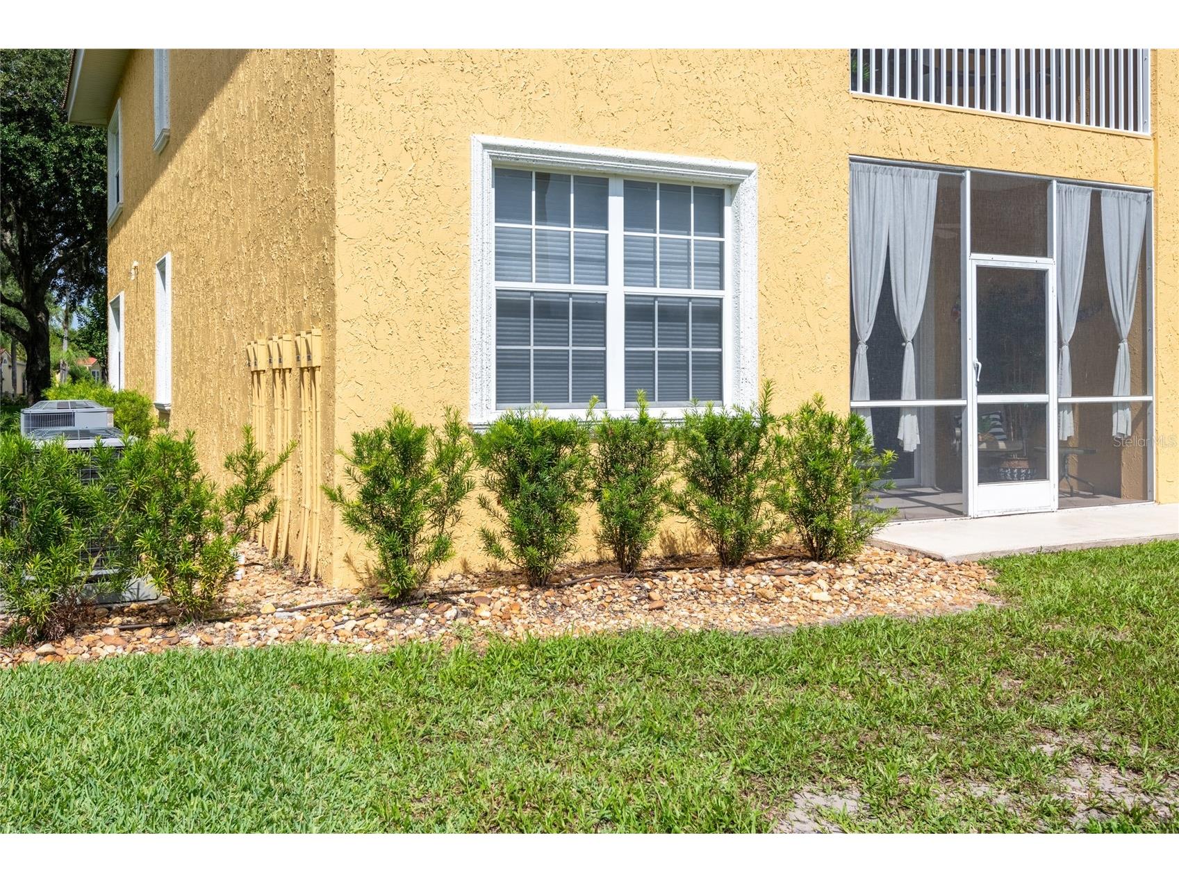 6714 Dali Avenue #101 Land O Lakes FL 34637 TB8512952 image34