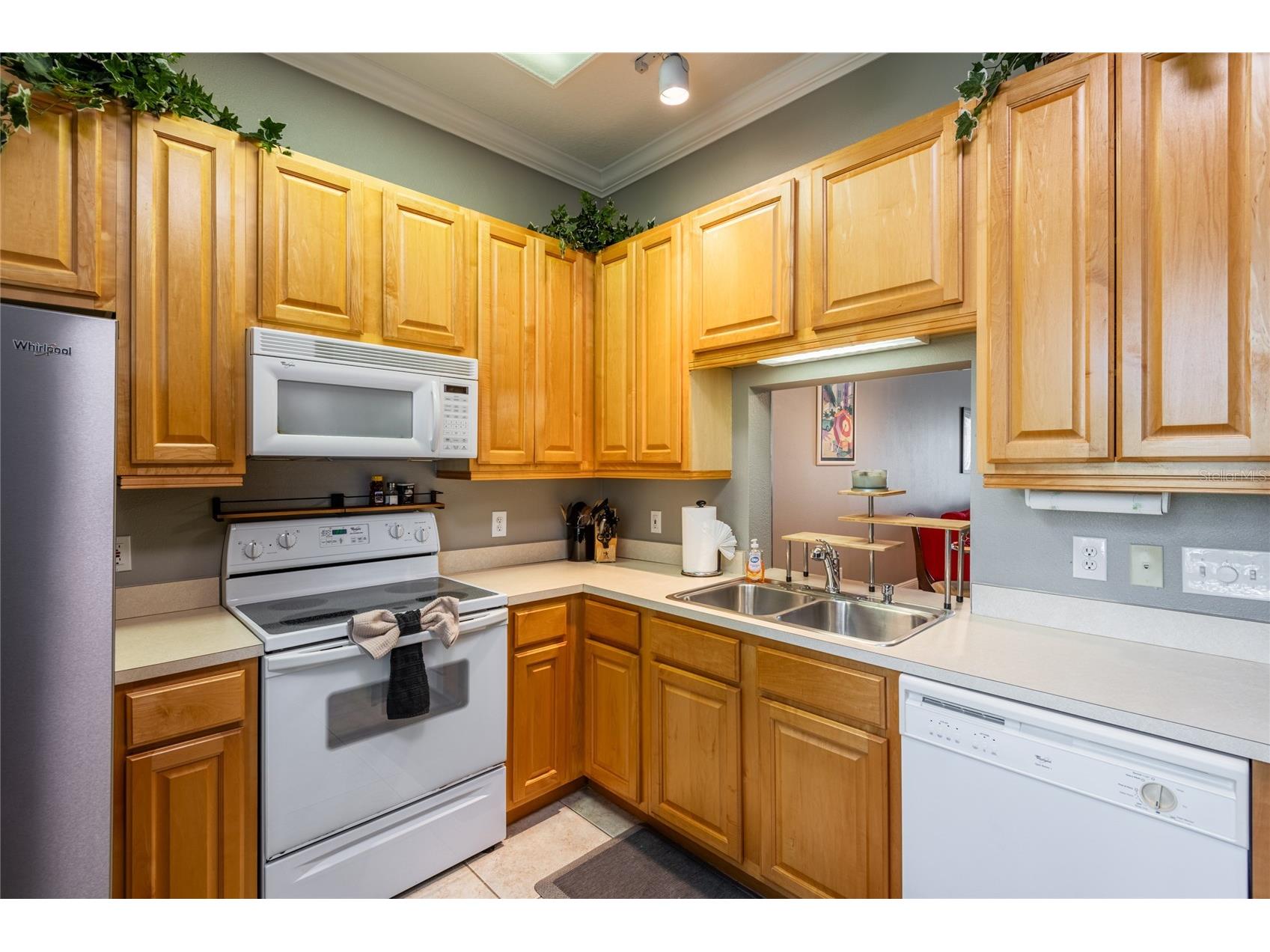 6714 Dali Avenue #101 Land O Lakes FL 34637 TB8512952 image6