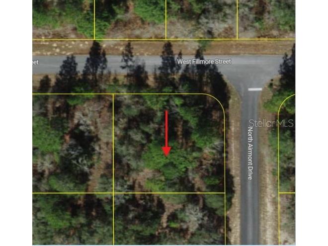 6714 N Airmont Drive Dunnellon FL 34433 W7882625 image2