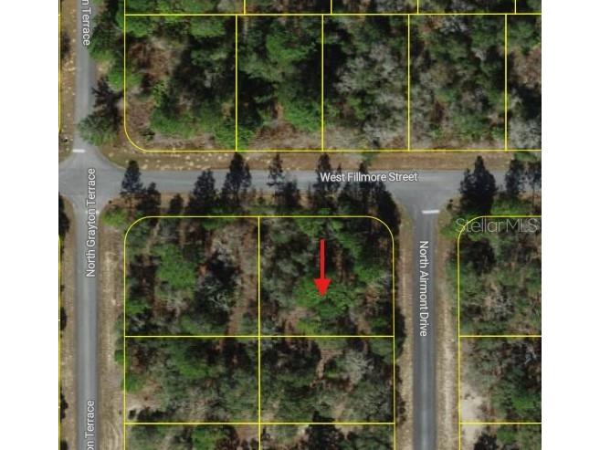 6714 N Airmont Drive Dunnellon FL 34433 W7882625 image3