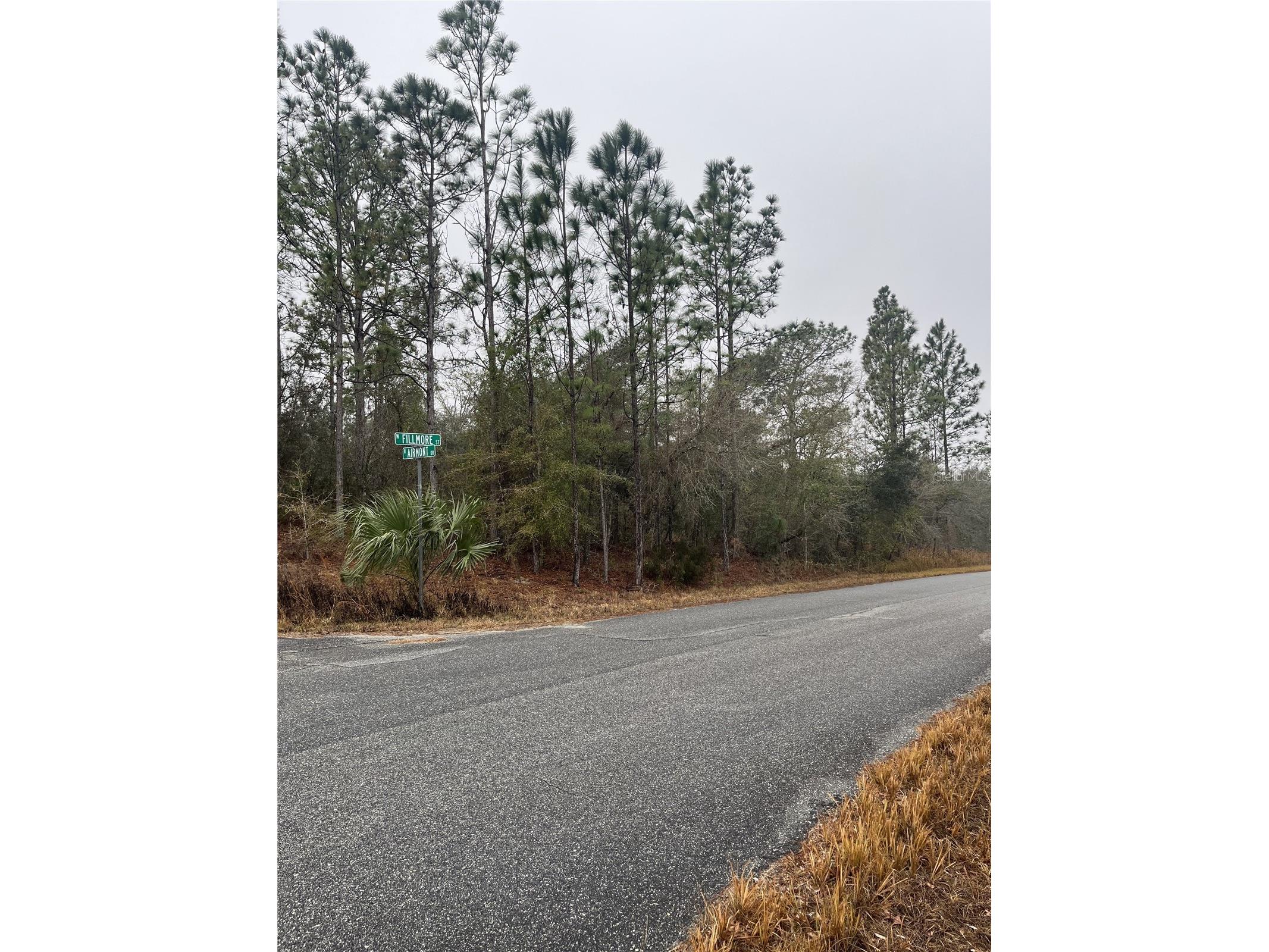 6692 N Airmont Drive Dunnellon FL 34433 W7882834 image2